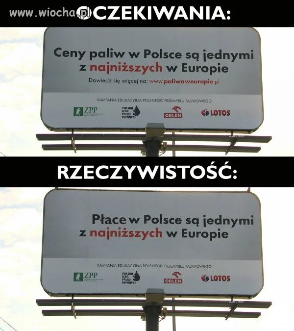 Nowy Polski Ład