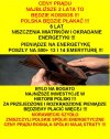 Od sukcesow PiSu, Polakow juz boli glowa...