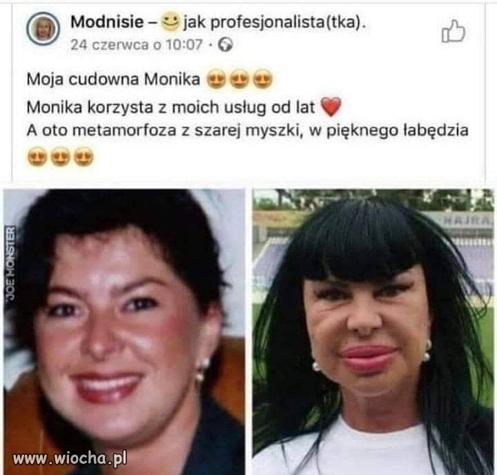 Metamorfoza. 