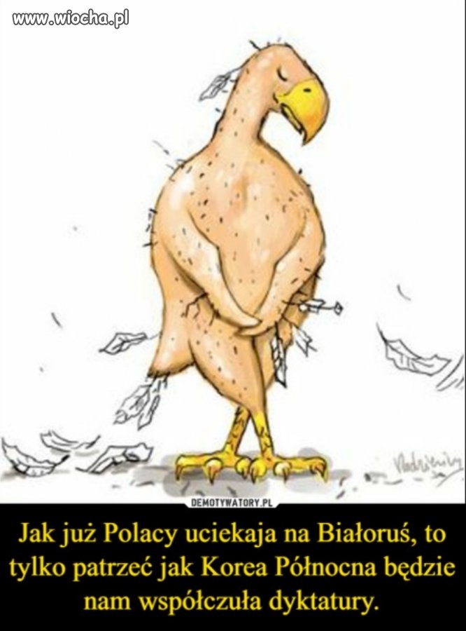 Heheszki 
