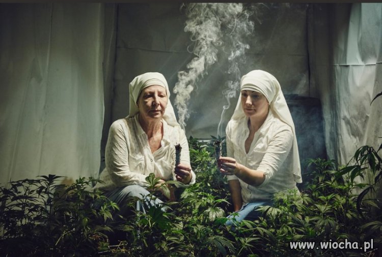 Zakon świętej Marry Jane