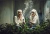 Zakon świętej Marry Jane