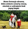 Obrona według pisu.