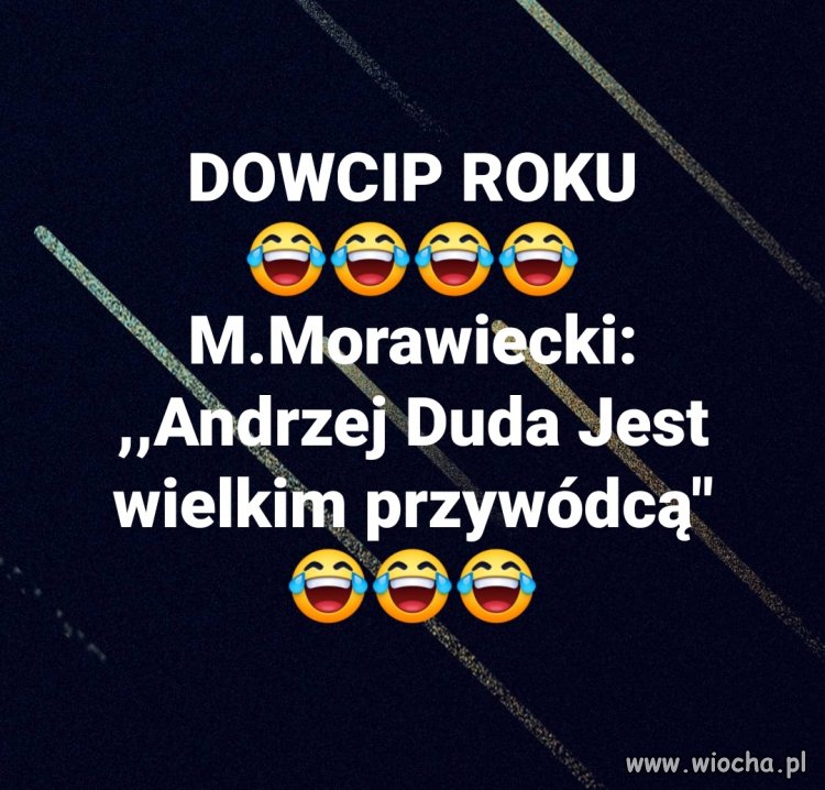 Koń by się uśmiał 