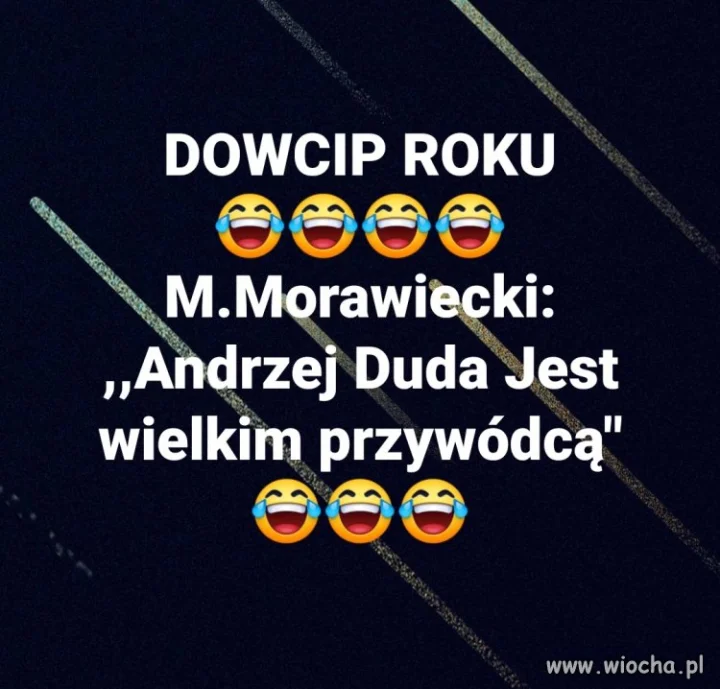 Koń by się uśmiał 