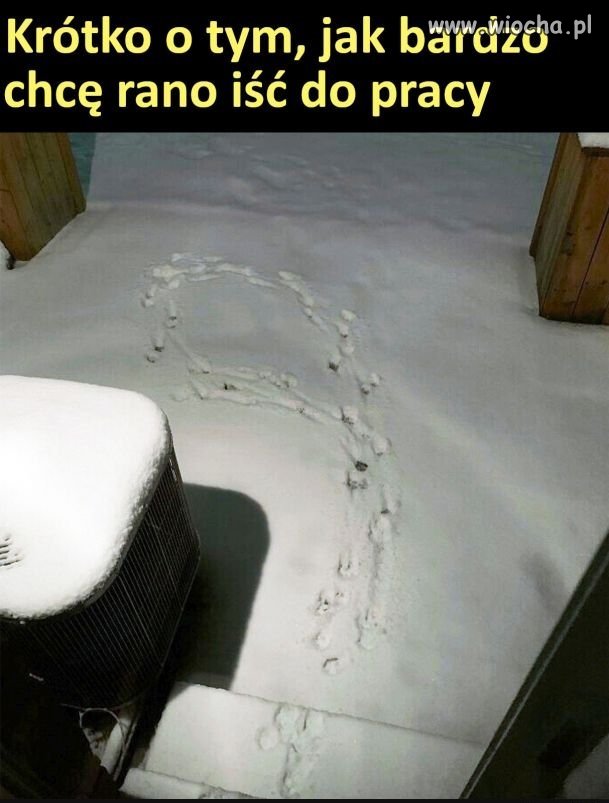 Tyle w temacie