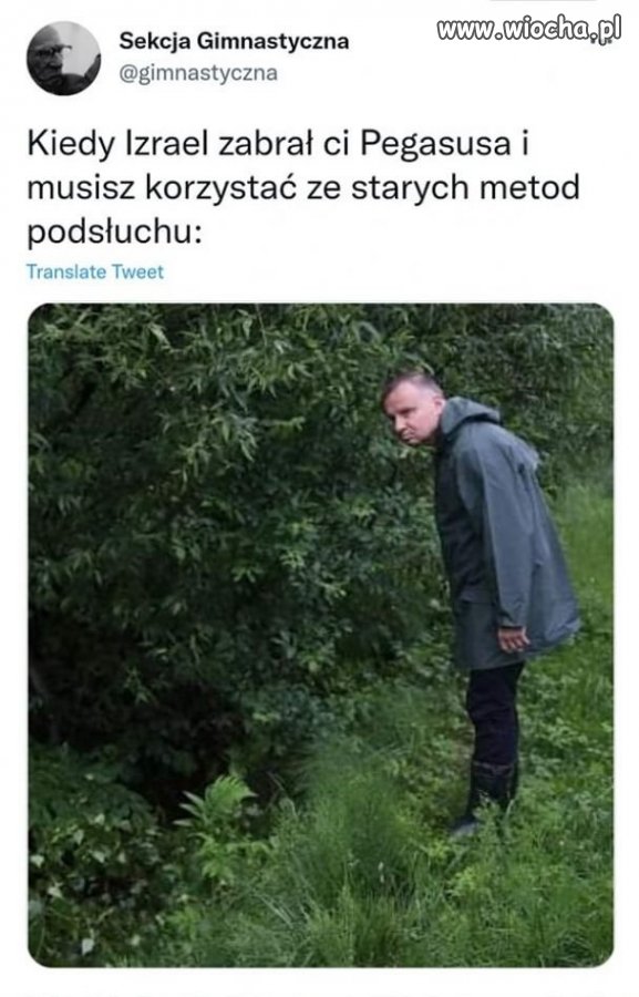 Sekcja Gimnastyczna