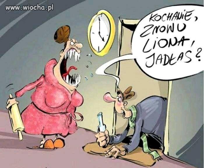 Lew się
