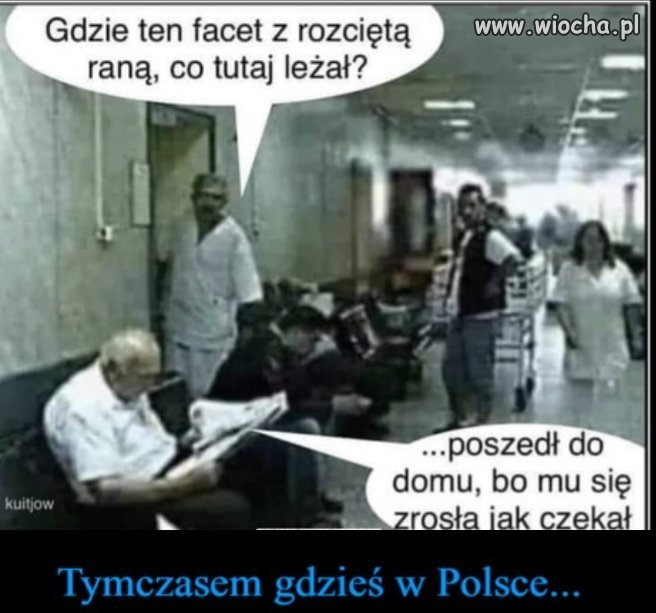 Polska służba zdrowia 