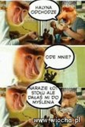 I Halina mięknie