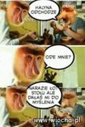 I Halina mięknie