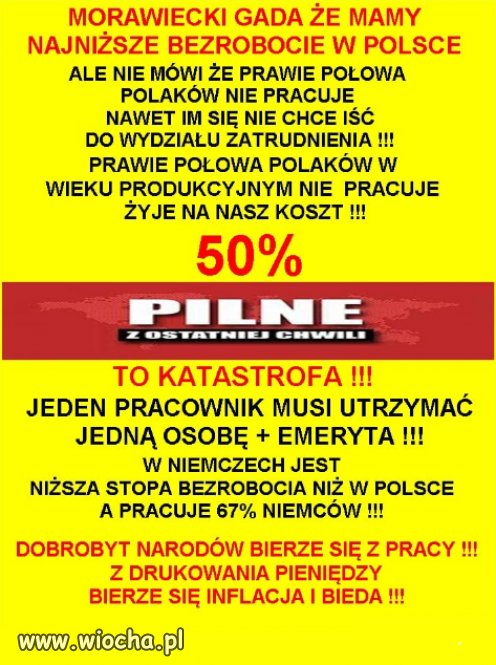 Nowa szlachta, żelaznego elektoratu PiSu, nie pracuje!