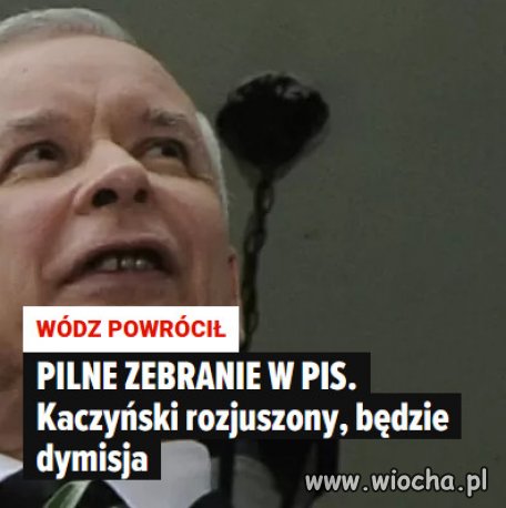 Kaczyński się odnalazł, kiedy wszystko sie wali!  