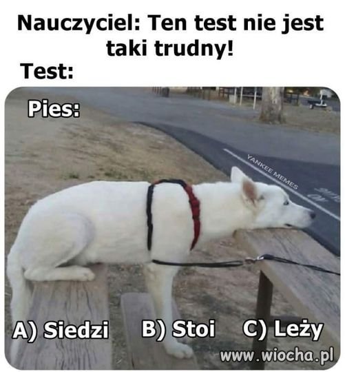 Z cyklu 