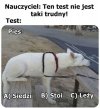 Z cyklu 
