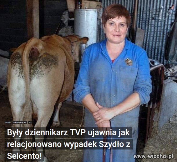 Mur kłamstwa runął. Oborowa kłamała pod przysiega