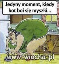 Krystyna P. karmi kota prezesa.