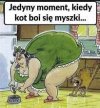 Krystyna P. karmi kota prezesa.
