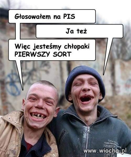 Typowy wyborca PiS