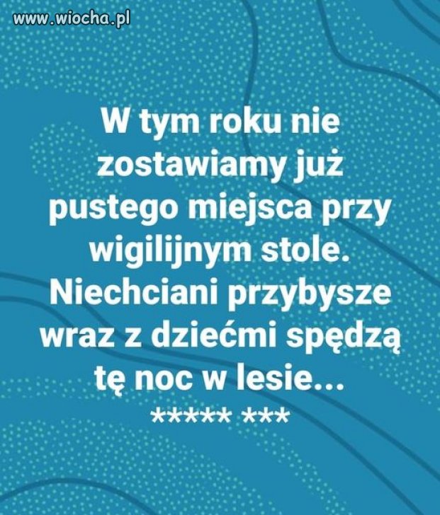 Bo w lesie fajnie jest