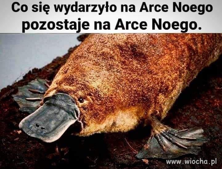 Także tak...