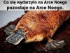 Także tak...