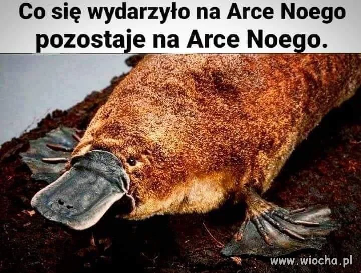 Także tak...