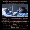 Dlaczego o tym nie mówią