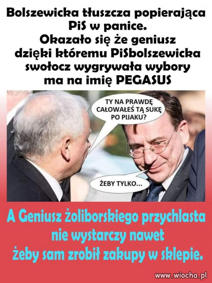Wyszło na jaw