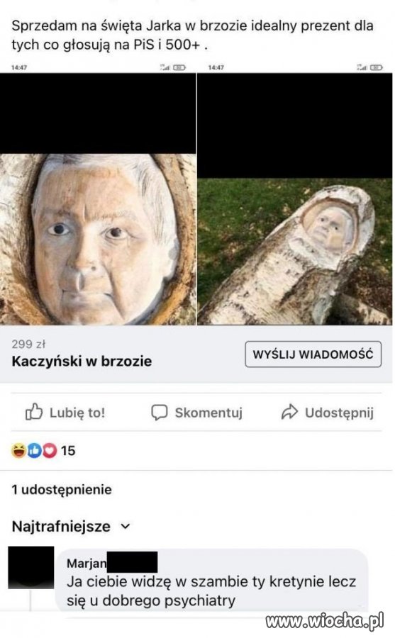 Jarek w brzozie