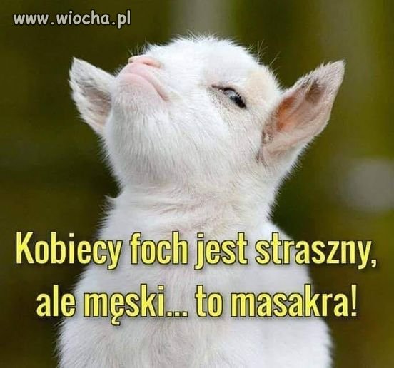 Jakbym widział