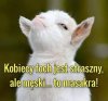 Jakbym widział