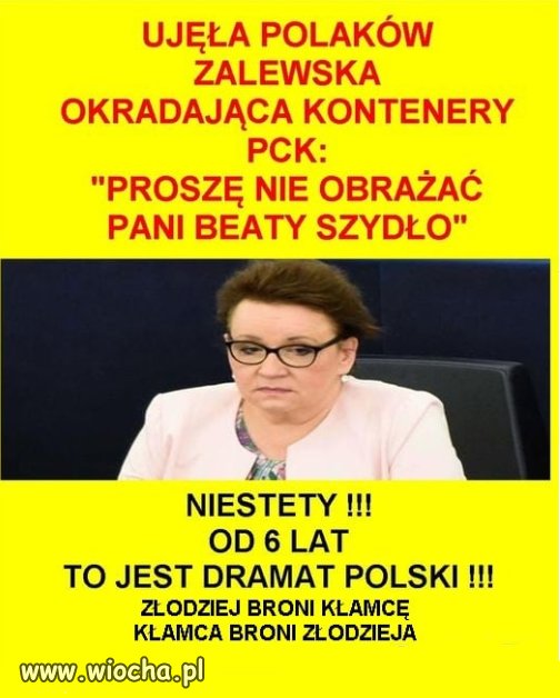W PiS dobrane towarzystwo klamcow i zlodziei, wzajemnej adoracji...