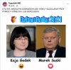 No to głosujemy