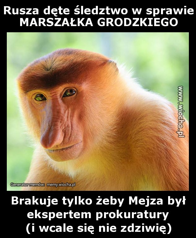 Rusza dęte śledztwo w sprawie MARSZAŁKA GRODZKIEGO