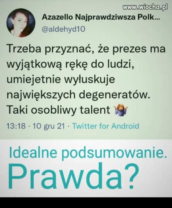 Prezes ma talent 