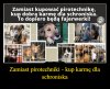 To nie wiocha, to dobry uczynek...