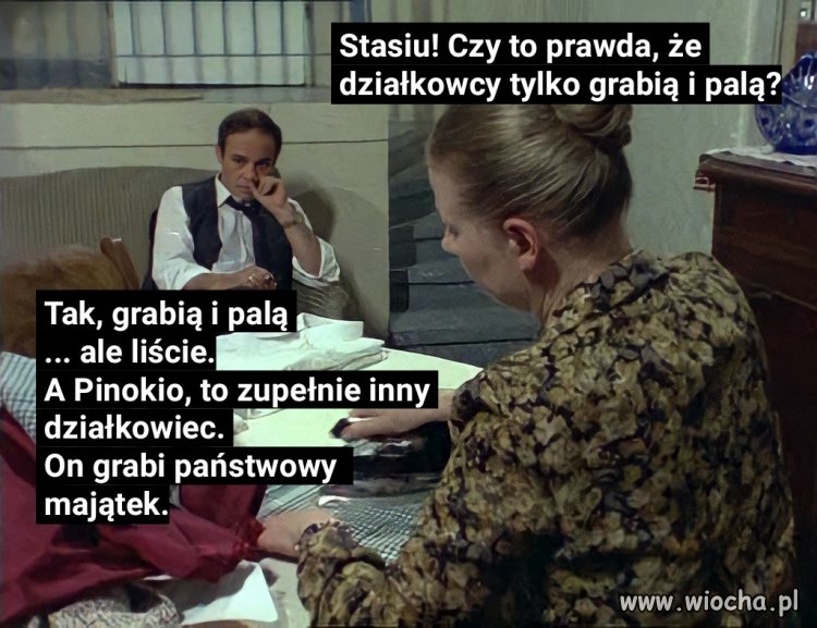 Zupełnie inny działkowiec