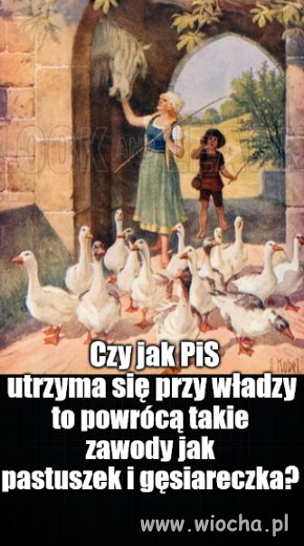 Kolega pytał