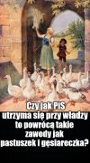 Kolega pytał