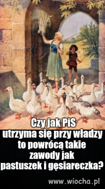 Kolega pytał