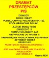 Ale się porobiło 