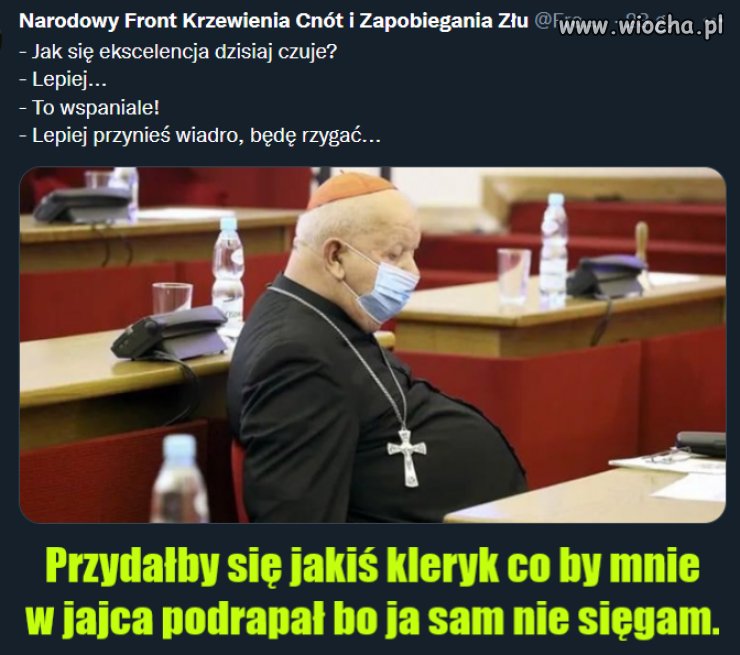 Przydałby się jakiś kleryk co by mnie w jajca podrapał bo ja sam nie sięgam.