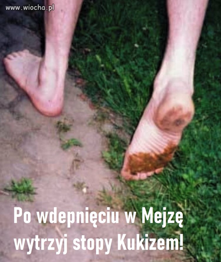 Guano i szmata.