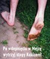 Guano i szmata.