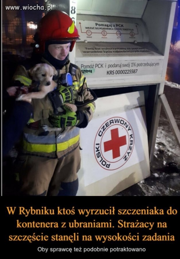 Brak słów 