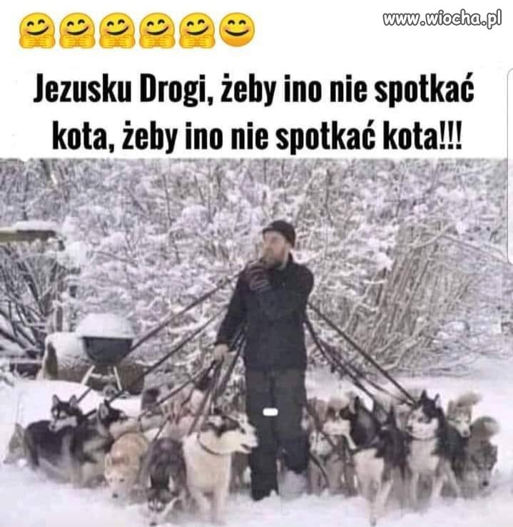 Gdy wyjdziesz ze swoją sforą na spacer 
