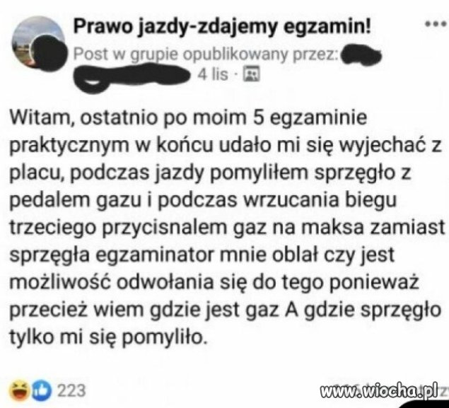 Znalezione 