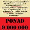 O ile pamiętam to... 