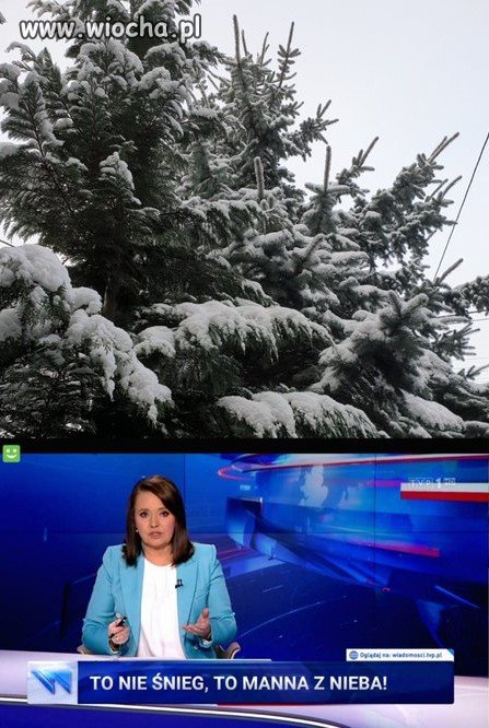 Dziękujcie pisowi i Bogu!